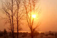 03kareki.jpg (68837 バイト)