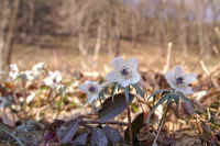 03setubunnsou.jpg (65916 �o�C�g)