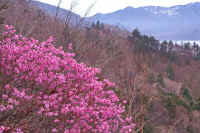 05akayasio1.jpg (84405 �o�C�g)