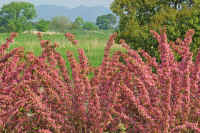 05taniutugi.jpg (105257 �o�C�g)