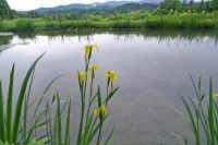 06kisyoubu.jpg (61967 �o�C�g)