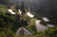 06tanada.jpg (61721 �o�C�g)