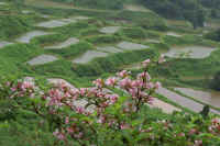 06taniutugi.jpg (75955 バイト)