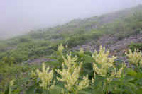 07onntade.jpg (67535 バイト)