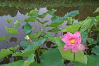 07oogahasu.jpg (66369 �o�C�g)