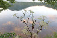 08sisiudo.jpg (62277 バイト)