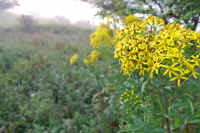 09hanngonnsou.jpg (69888 �o�C�g)