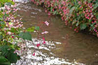 09syuukaidou.jpg (76809 �o�C�g)