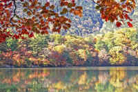 10kaede1.jpg (105335 �o�C�g)