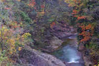 10kouyou.jpg (91839 �o�C�g)