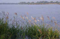 10susuki1.jpg (70116 �o�C�g)