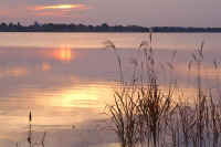 10susuki3.jpg (61324 バイト)