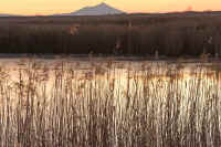 12asi02.jpg (88574 �o�C�g)