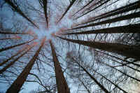 12metasekoiya02.jpg (107986 バイト)