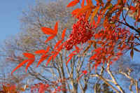 12nanntenn02.jpg (86625 �o�C�g)