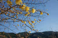 12roubai04.jpg (70284 �o�C�g)