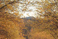 2009011200426.jpg (117056 �o�C�g)