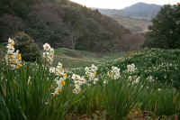 2009011700453.jpg (73443 �o�C�g)