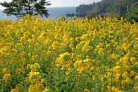 2009020800725.jpg (101431 �o�C�g)