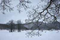 2009021601019.jpg (85760 �o�C�g)