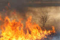 2009032101610.jpg (54994 �o�C�g)