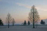 2009032801767.jpg (53195 バイト)