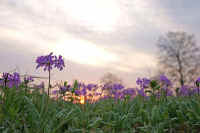 2009040401847.jpg (58091 �o�C�g)