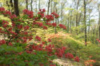 2009042902178.jpg (85509 �o�C�g)