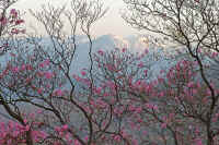 2009050202235.jpg (112381 �o�C�g)