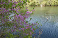 2009052302696.jpg (93345 バイト)