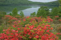 2009061302890.jpg (78113 �o�C�g)