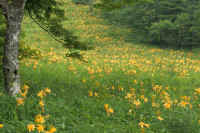 2009070503292.jpg (86141 �o�C�g)