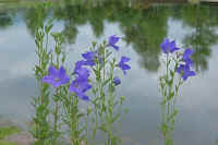 2009070503299.jpg (59680 �o�C�g)