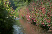 2009082904140.jpg (95979 �o�C�g)