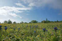 2009090504253.jpg (68216 �o�C�g)