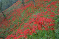 2009091904571.jpg (82822 �o�C�g)