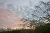 2009092604712.jpg (69053 バイト)