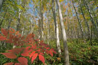 2009101205103.jpg (178841 �o�C�g)