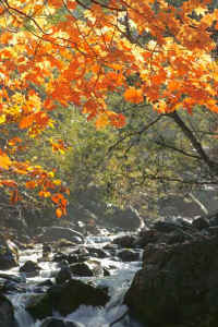 2009101805303.jpg (96157 �o�C�g)