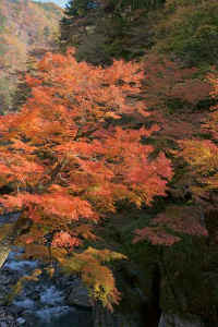 2009110705822.jpg (84961 �o�C�g)