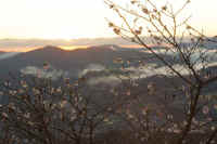 2009111505914.jpg (68004 �o�C�g)