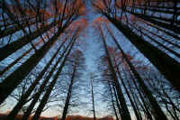 2009121906214.jpg (101493 �o�C�g)