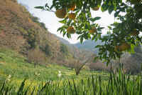 2009122306309.jpg (93867 �o�C�g)