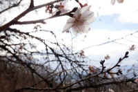 01-2025010609367.jpg (76836 �o�C�g)