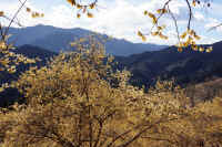 01-2025012909896.jpg (153490 �o�C�g)