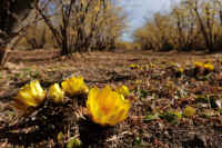 01-2025012909901.jpg (104273 バイト)