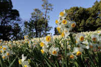 02-2025021300025.jpg (110523 �o�C�g)