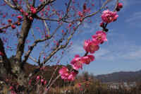 02-2025022800232.jpg (95781 �o�C�g)