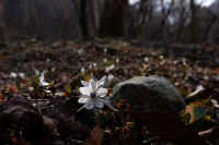 02-2025022800255.jpg (65400 バイト)