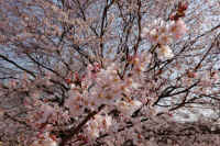 03-2025032500431.jpg (141014 �o�C�g)